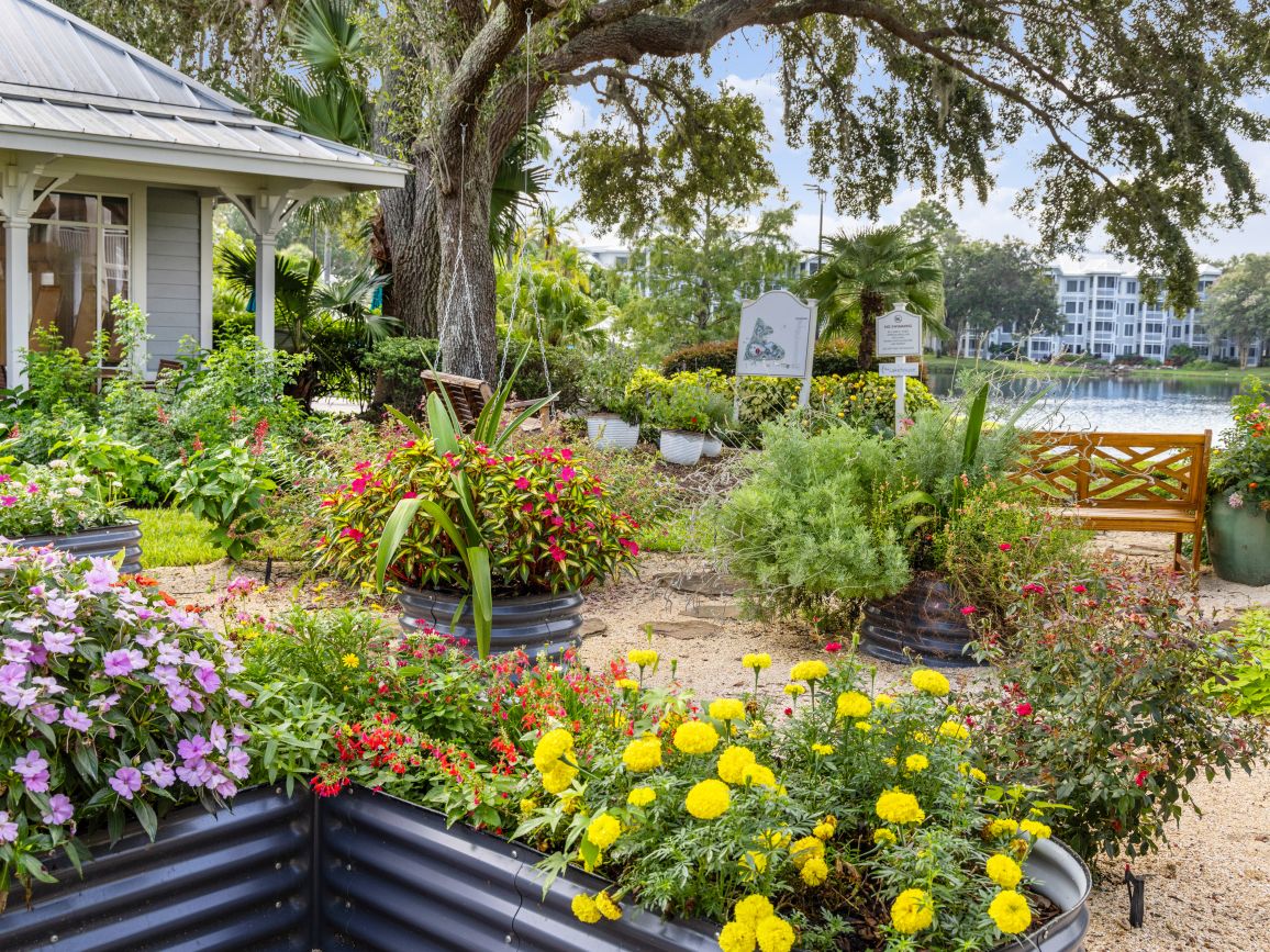 Serenity Garden
